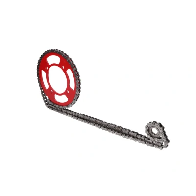 Kép: Piros láncszett 11/50 fog Beta RR 50 Motard 05