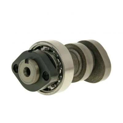 Kép: Vezérműtengely Malossi Power Cam Honda SH 300i, NSS 300i