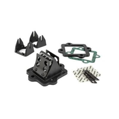 Kép: Reed szelep Stage6 Viton Minarelli