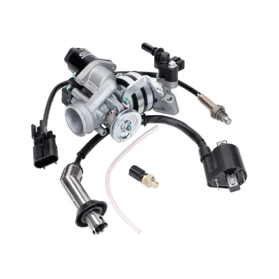 Kép: Befecskendező rendszer komplett 139QMB 50cc EFI Euro4 / Euro5, GT Union GT3, Striker, Alpha Motors Shark, GMX 460, Alfa