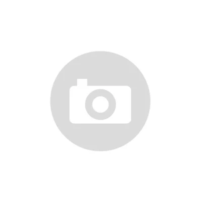 Kép: Főtengelycsapágy Mofa Mokickhoz