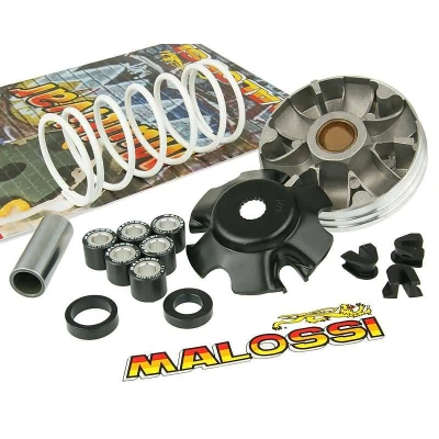 Kép: Malossi Multivar 2000 variátor Piaggio (98 )